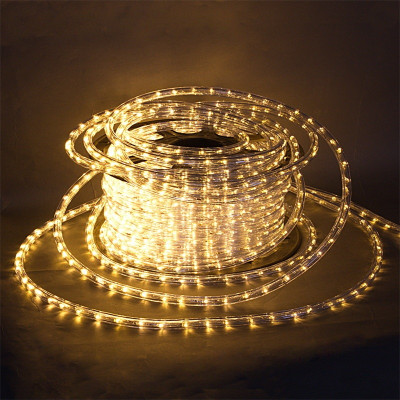 Дюралайт  13-2W-100M-24V-LED-U WW