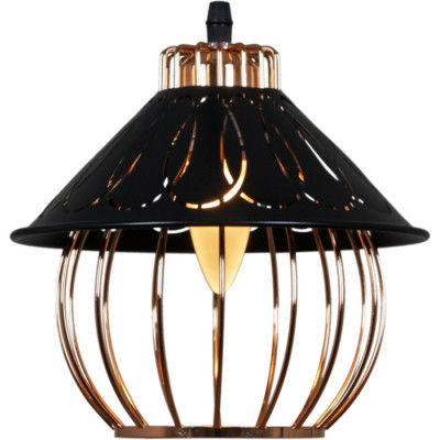 Подвесной светильник  02503-0.9-01 BK+GD